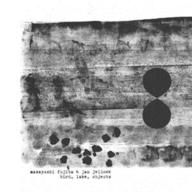 MASAYOSHI FUJITA & JAN JELINEK | BIRD, LAKE, OBJECTS | VINYL RECORD (LP)