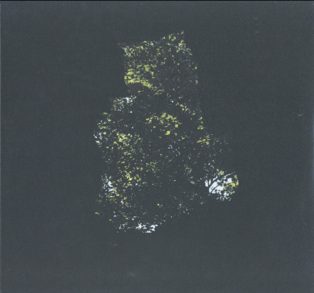 WESTBROOK, BYRON | PRECIPICE | VINYL RECORD (LP)