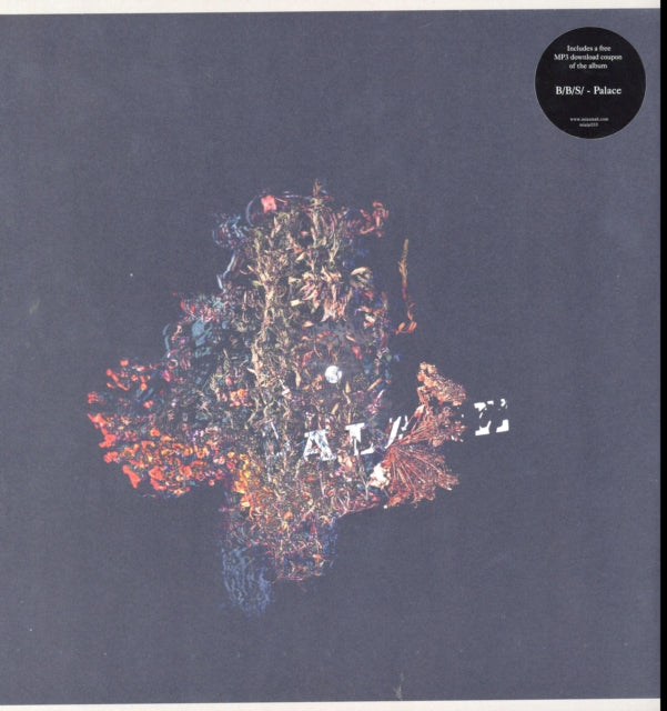 B/B/S | PALACE (2LP) | VINYL RECORD (LP)