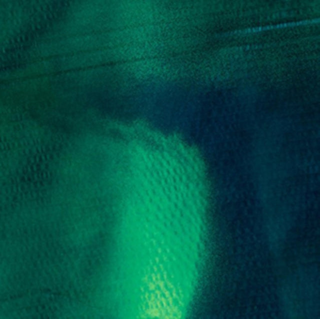 GROSSE, KATHARINA / SCHNEIDER, STEFAN | TIERGARTEN (DL CARD) | VINYL RECORD (LP)