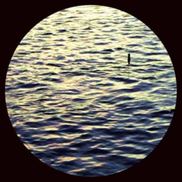 ANT ORANGE | RIGHT THERE | 12IN VINYL