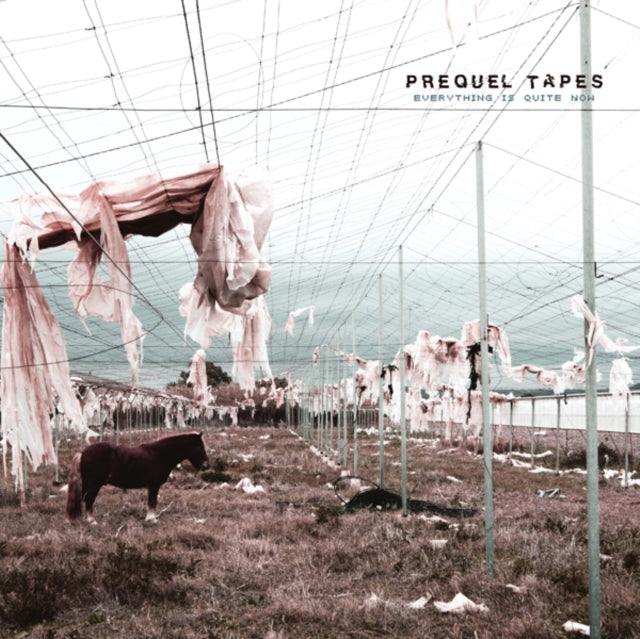 PREQUEL TAPES | EVERYTHING IS QUITE NOW | VINYL RECORD (LP)