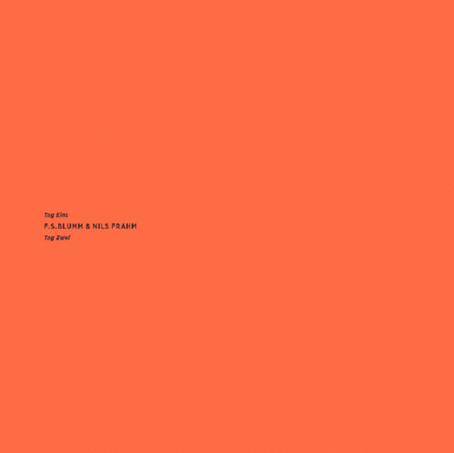 BLUMM, F.S & NILS FRAHM | TAG EINS TAG ZWEI | VINYL RECORD (LP)