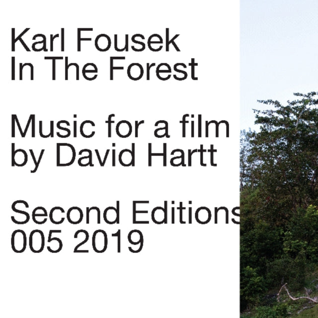 FOUSEK, KARL | IN THE FOREST | VINYL RECORD (LP)