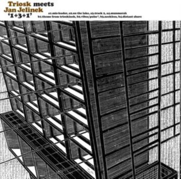 TRIOSK MEETS JAN JELINEK | 1+3+1 | VINYL RECORD (LP)