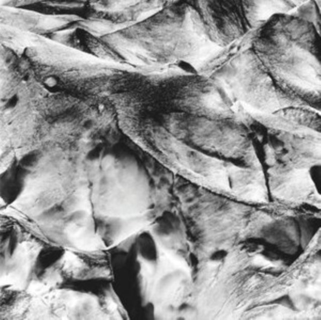 TIETCHENS, ASMUS & MIKI YUI | NEUES BOOT | VINYL RECORD (LP)