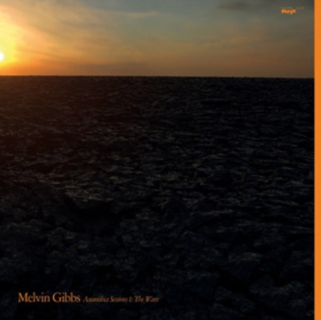 GIBBS, MELVIN | ANAMIBIA SESSIONS 1: THE WAVE | VINYL RECORD (LP)