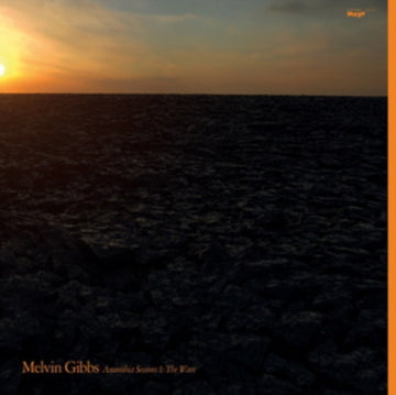 GIBBS, MELVIN | ANAMIBIA SESSIONS 1: THE WAVE | VINYL RECORD (LP)
