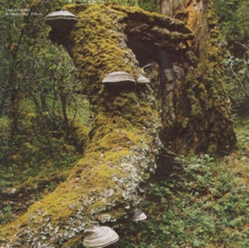 KOSMISCHER PITCH | VINYL RECORD (LP)