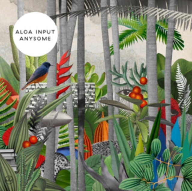 ALOA INPUT | ANYSOME | VINYL RECORD (LP)