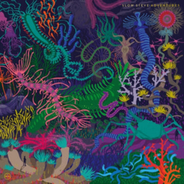 SLOW STEVE | ADVENTURES | VINYL RECORD (LP)