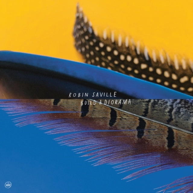 SAVILLE, ROBIN | BUILD A DIORAMA | VINYL RECORD (LP)