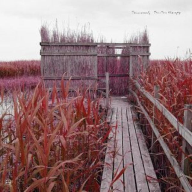 TENNISCOATS | TAN-TAN THERAPY | VINYL RECORD (LP)