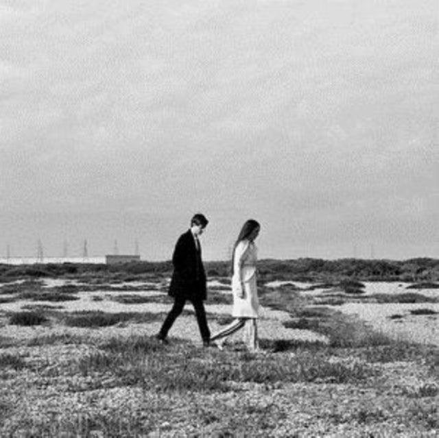 ALPINES | ANOTHER RIVER | VINYL RECORD (LP)