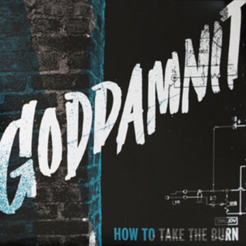 HOW TO TAKE THE BURN | VINYL RECORD (LP)