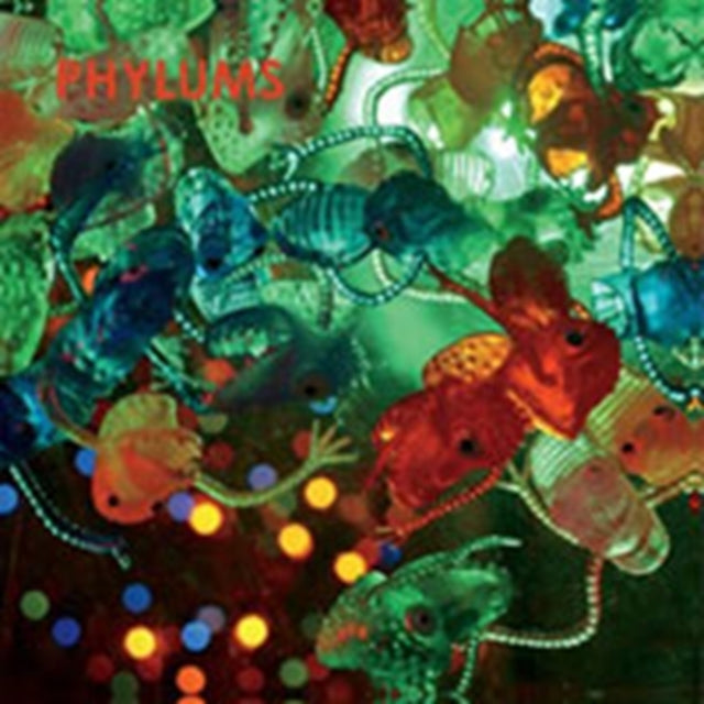 PHYLUMS | PHYLUM PHYLOID | VINYL RECORD (LP)