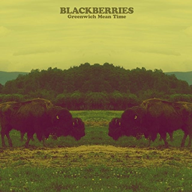 BLACKBERRIES | GREENWICH MEAN TIME | VINYL RECORD (LP)