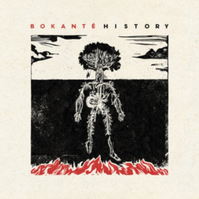 BOKANTE | HISTORY | VINYL RECORD (LP)