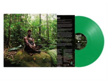 POLOBI & THE GWO KA MASTERS | ABRI CYCLONIQUE | VINYL RECORD (LP)