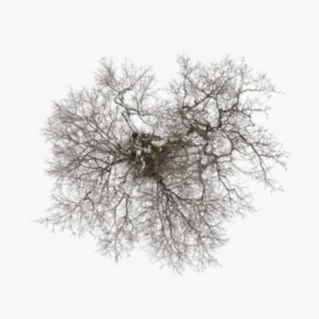 METCALFE, JOHN | TREE | VINYL RECORD (LP)