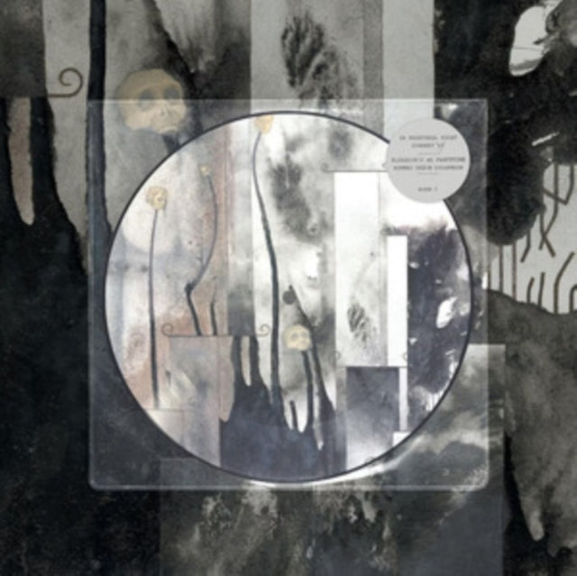 CURRENT 93 | IN MENSTRUAL NIGHT (PICTURE DISC) | 12IN VINYL