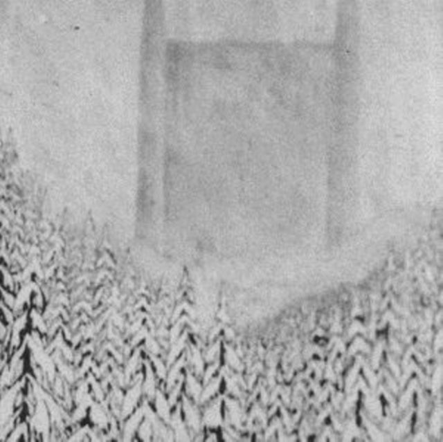 PAYSAGE D'HIVER | DIE FESTUNG | VINYL RECORD (LP)