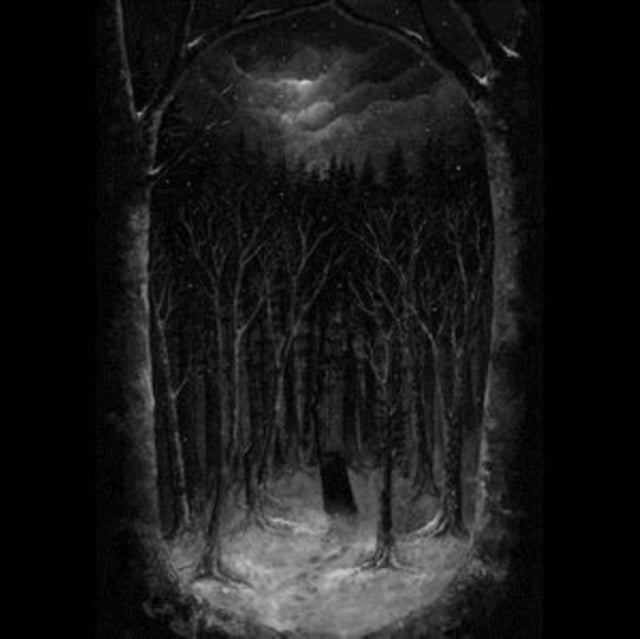 PAYSAGE D'HIVER | IM WALD (4LP) | VINYL RECORD (LP)