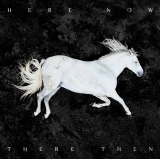 DOOL | HERE NOW THERE THEN | VINYL RECORD (LP)