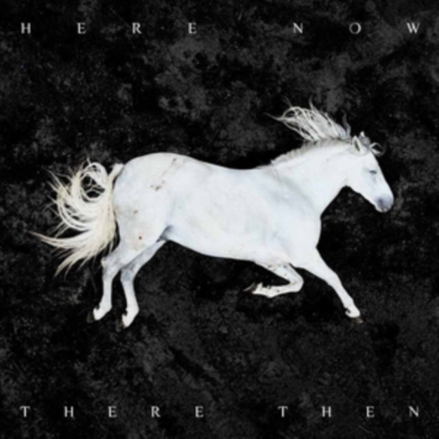 DOOL | HERE NOW THERE THEN | 12IN VINYL