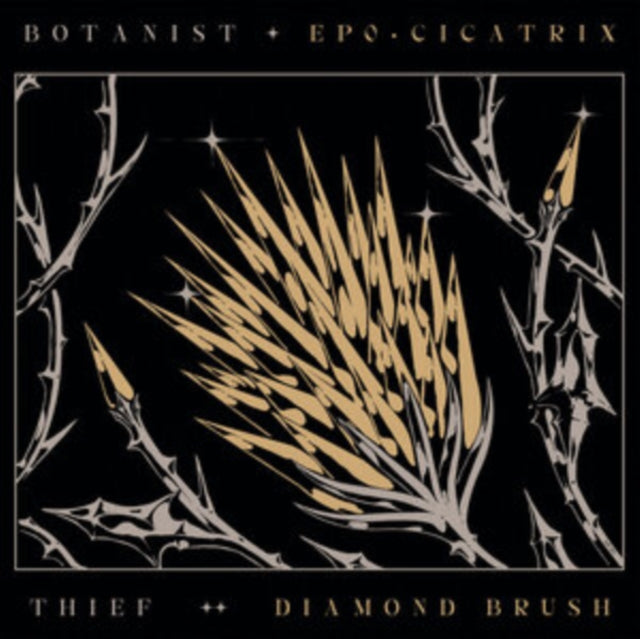 BOTANIST / THIEF | CICATRIX / DIAMOND BRUSH (CLEAR VINYL/LIMITED) | VINYL RECORD (LP)