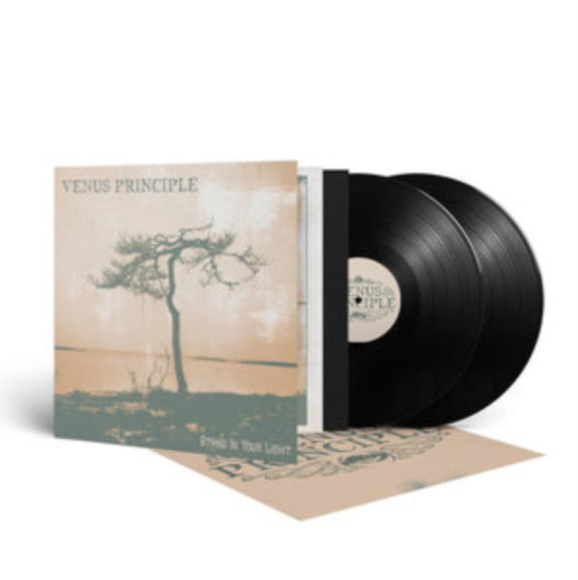 VENUS PRINCIPLE | STAND IN YOUR LIGHT (2LP) | VINYL RECORD (LP)