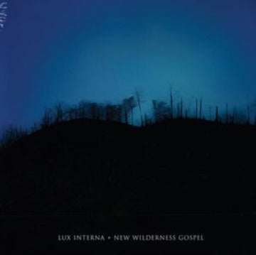 NEW WILDERNESS GOSPEL (2LP) | VINYL RECORD (LP)
