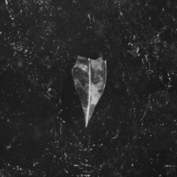 BEES MADE HONEY IN THE VEIN TREE | AION (2LP) | VINYL RECORD (LP)