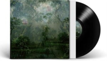 COLOURED BREEZE IS A NEW DIMENSION | VINYL RECORD (LP)