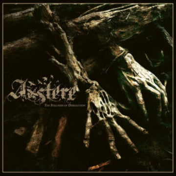 STILLNESS OF DISSOLUTION | VINYL RECORD (LP)