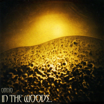 IN THE WOODS | OMNIO (2LP) | VINYL RECORD (LP)