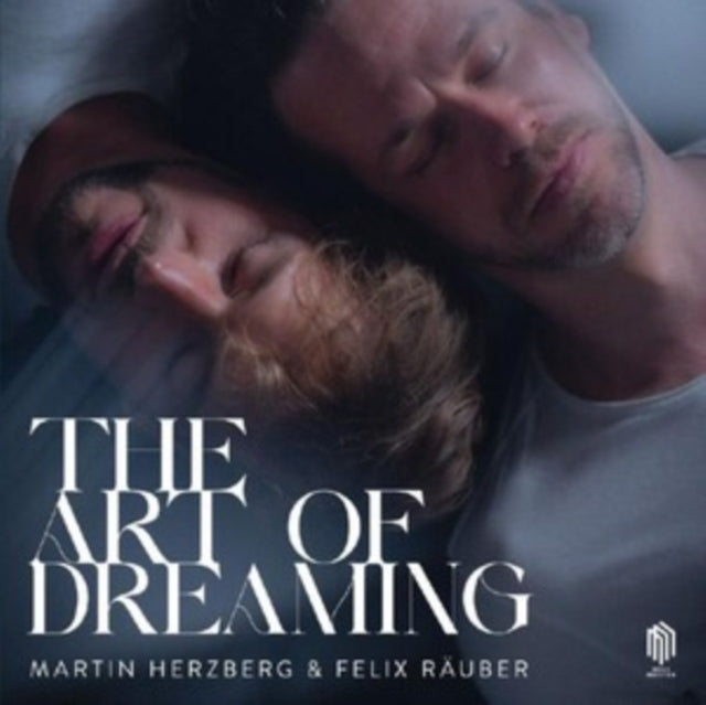 HERZBERG, MARTIN | MARTIN HERZBERG & FELIX RAUBER: THE ART OF DREAMING | VINYL RECORD (LP)
