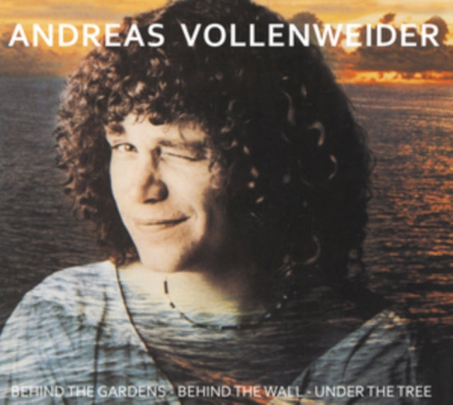 VOLLENWEIDER, ANDREAS | BEHIND THE GARDENS - BEHIND THE WALL - UNDER THE TREE | VINYL RECORD (LP)