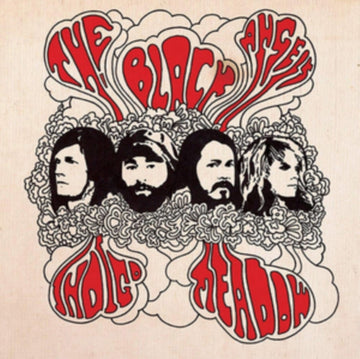 BLACK ANGELS | INDIGO MEADOW | VINYL RECORD (LP)