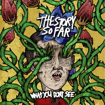 STORY SO FAR | WHAT YOU DON'T SEE | VINYL RECORD (LP)