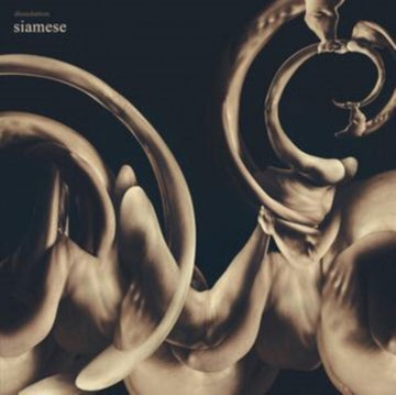 DISSOLUTION (GOLD VINYL) | VINYL RECORD (LP)