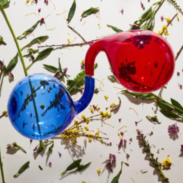 DIRTY PROJECTORS | LAMP LIT PROSE (DL CARD) | VINYL RECORD (LP)