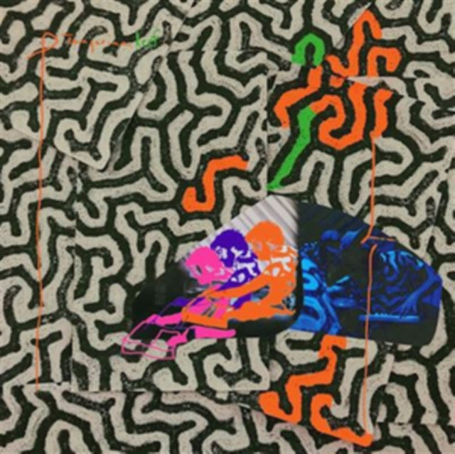 ANIMAL COLLECTIVE | TANGERINE REEF (2LP/DL CARD) | VINYL RECORD (LP)