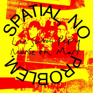 SPATIAL, NO PROBLEM. | VINYL RECORD (LP)