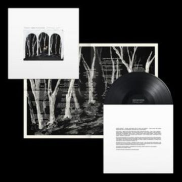 CROOKED WING | VINYL RECORD (LP)