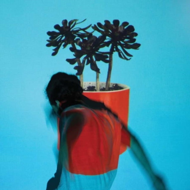 LOCAL NATIVES | SUNLIT YOUTH (150G/DL CARD) | VINYL RECORD (LP)