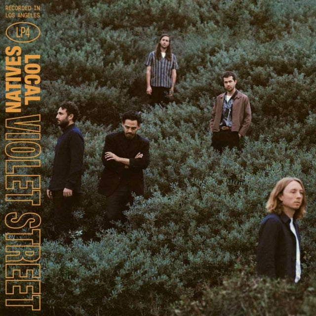 LOCAL NATIVES | VIOLET STREET | VINYL RECORD (LP)