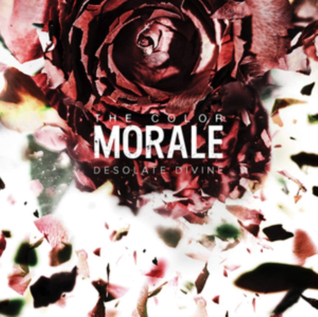 COLOR MORALE | DESOLATE DIVINE | VINYL RECORD (LP)