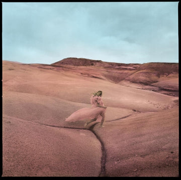 PRICE, MARGO | STRAYS | VINYL RECORD (LP)
