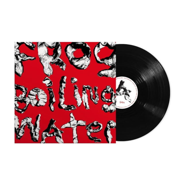DIIV | FROG IN BOILING WATER | VINYL RECORD (LP)
